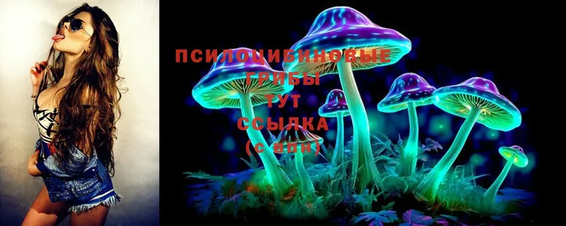 Галлюциногенные грибы Psilocybine cubensis  где купить наркоту  omg сайт  Болгар 